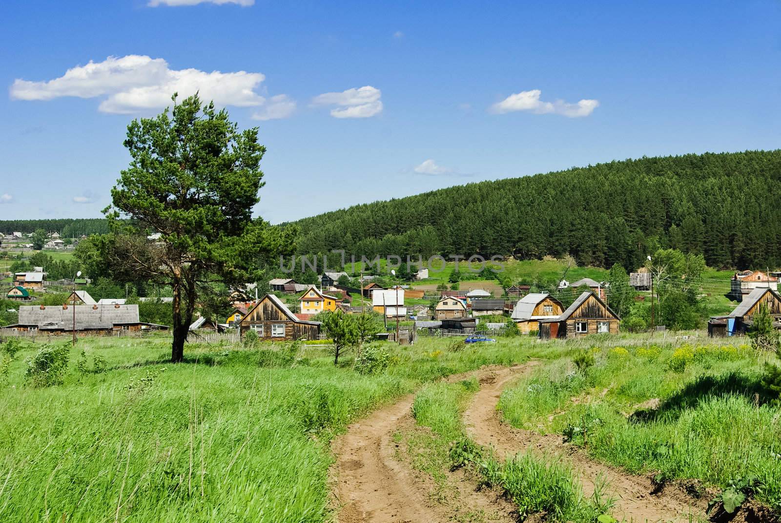 Summer landscape with a country road going to the Russian village