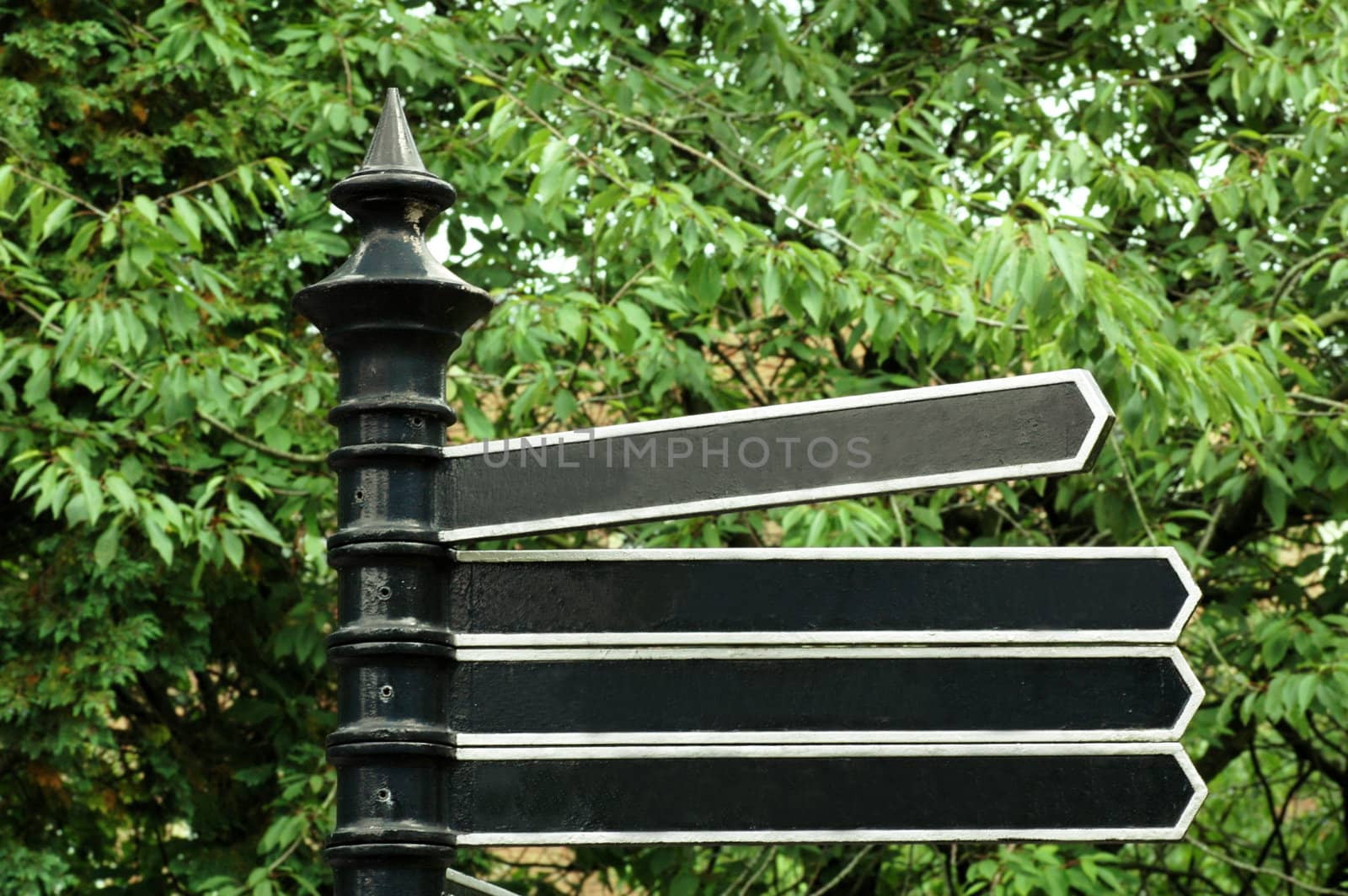 Blank direction signage against background of trees