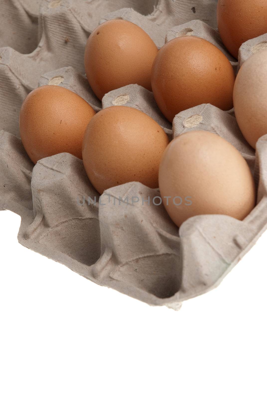 Box of eggs isolated on white background.