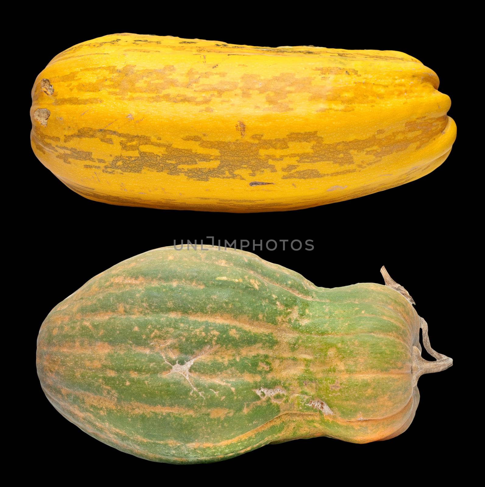 Two pumpkins isolated on black background.