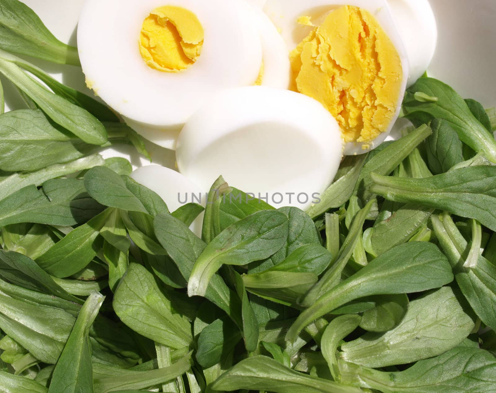 Detail of salad with lettuce and eggs