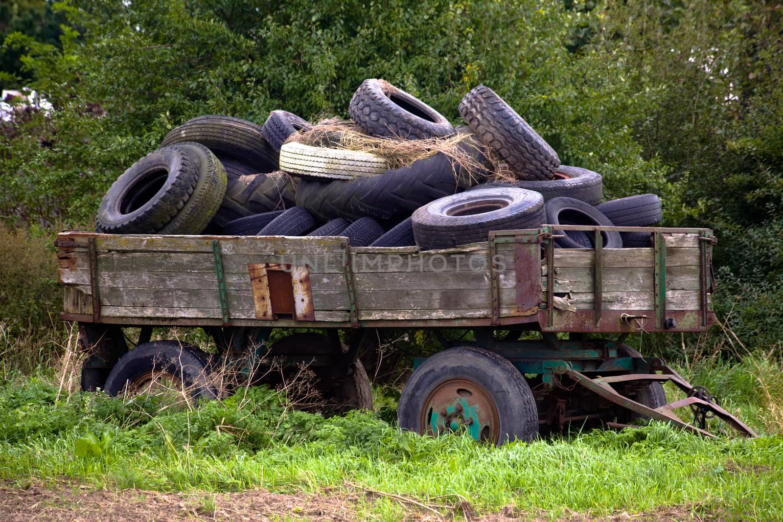 Old wooden wagon fulled with old tyres
