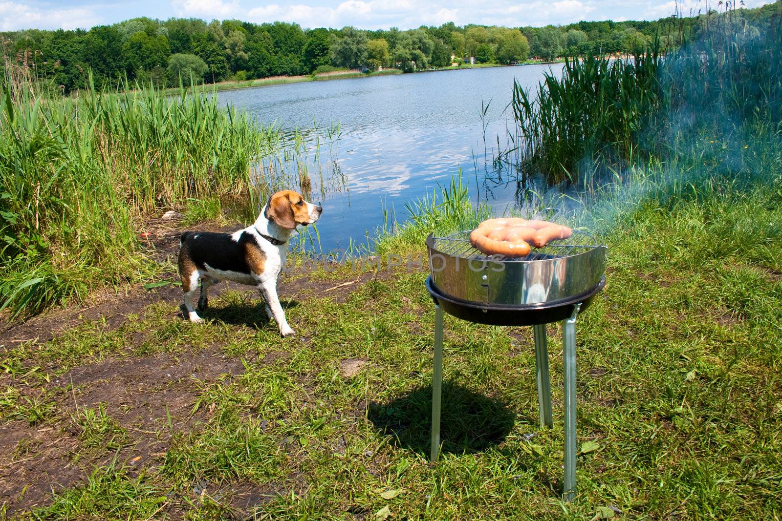 Fresh sausage preparing on grill at the lakeshore
