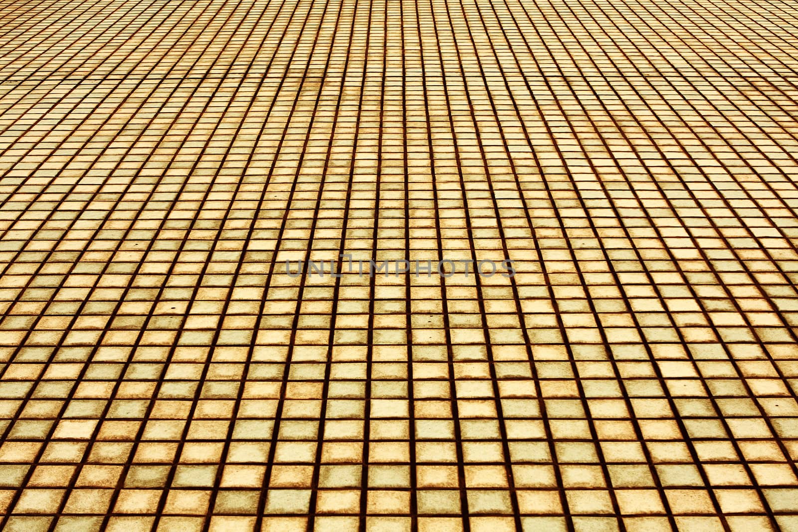 Brick pavement in yellow toned 