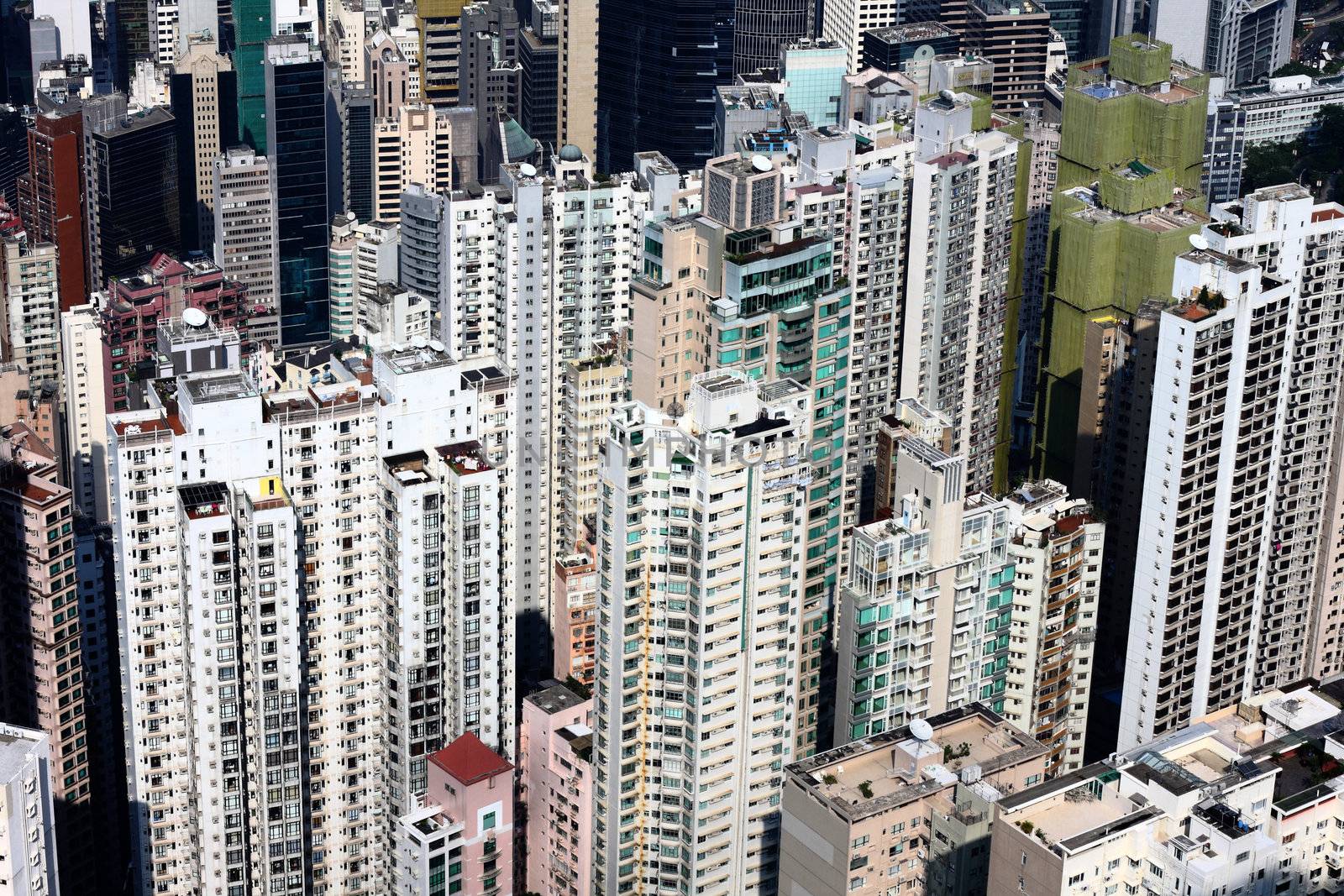 Blocks of flats in hong kong at day