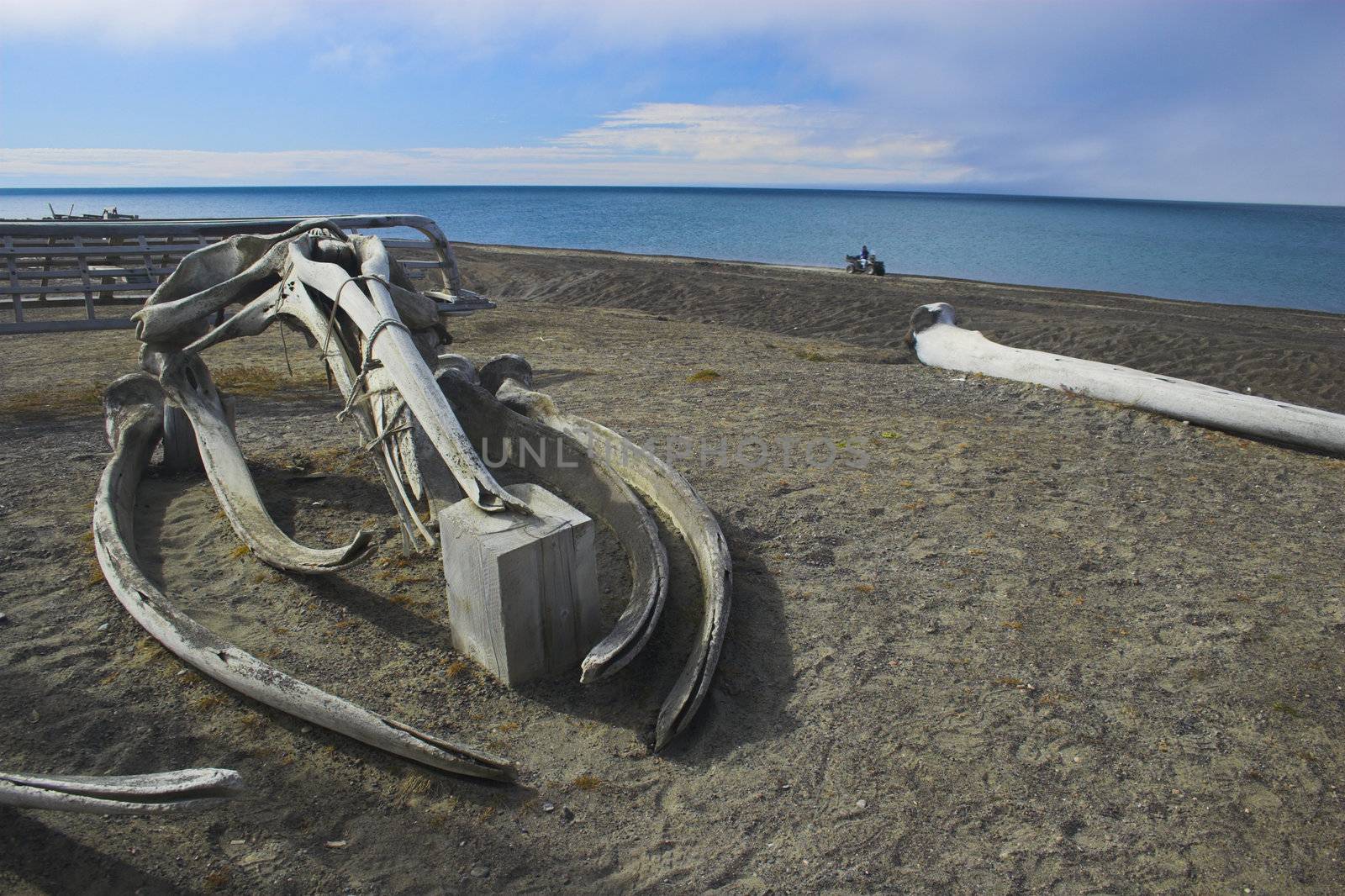 Various views and structures of whale bones in native whaling village on Arctic Ocean shore