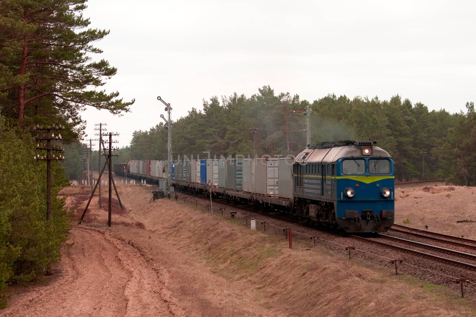 Freight train hauled by the diesel locomotive passing the forest
