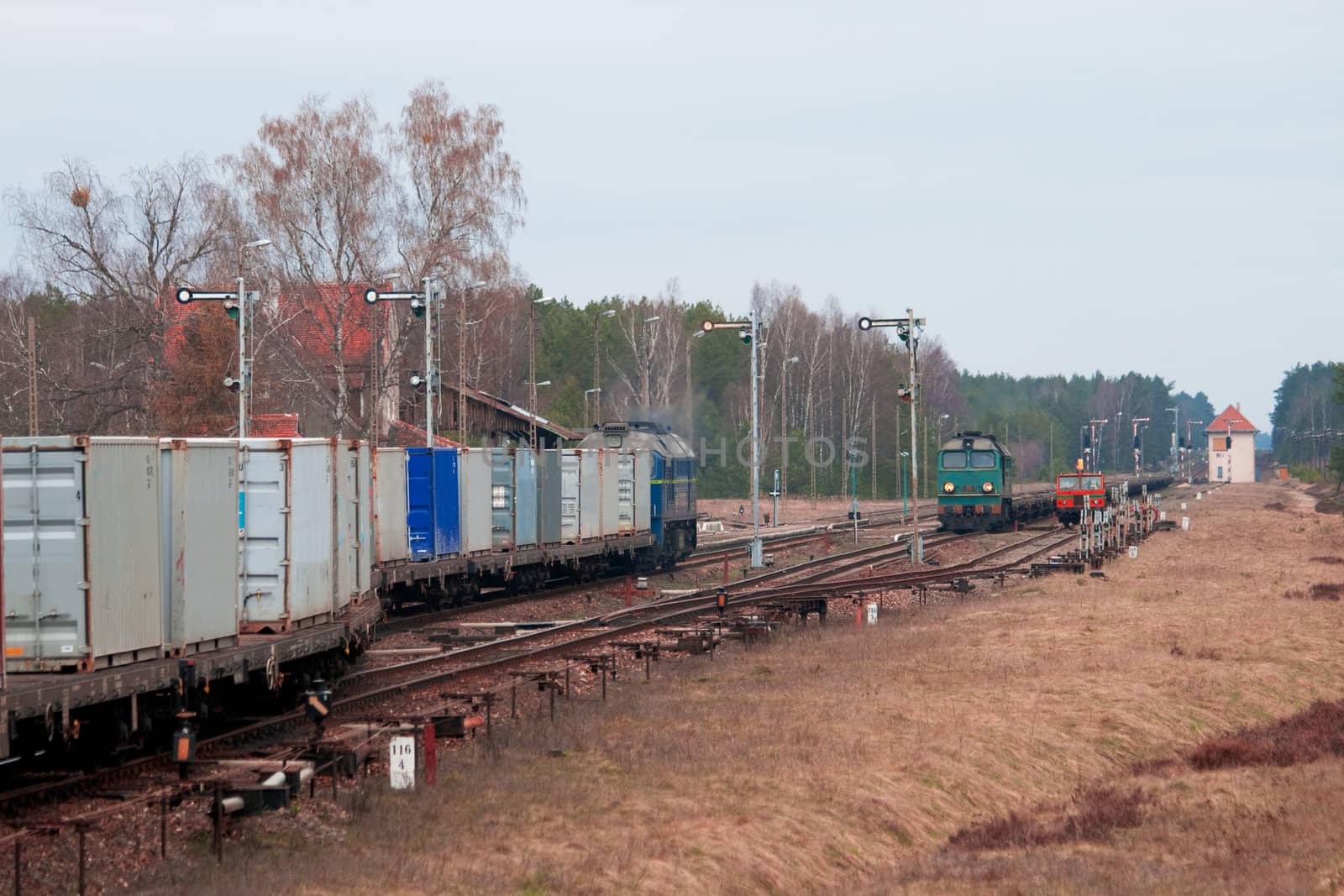 Freight trains at the station in the middle of the woods
