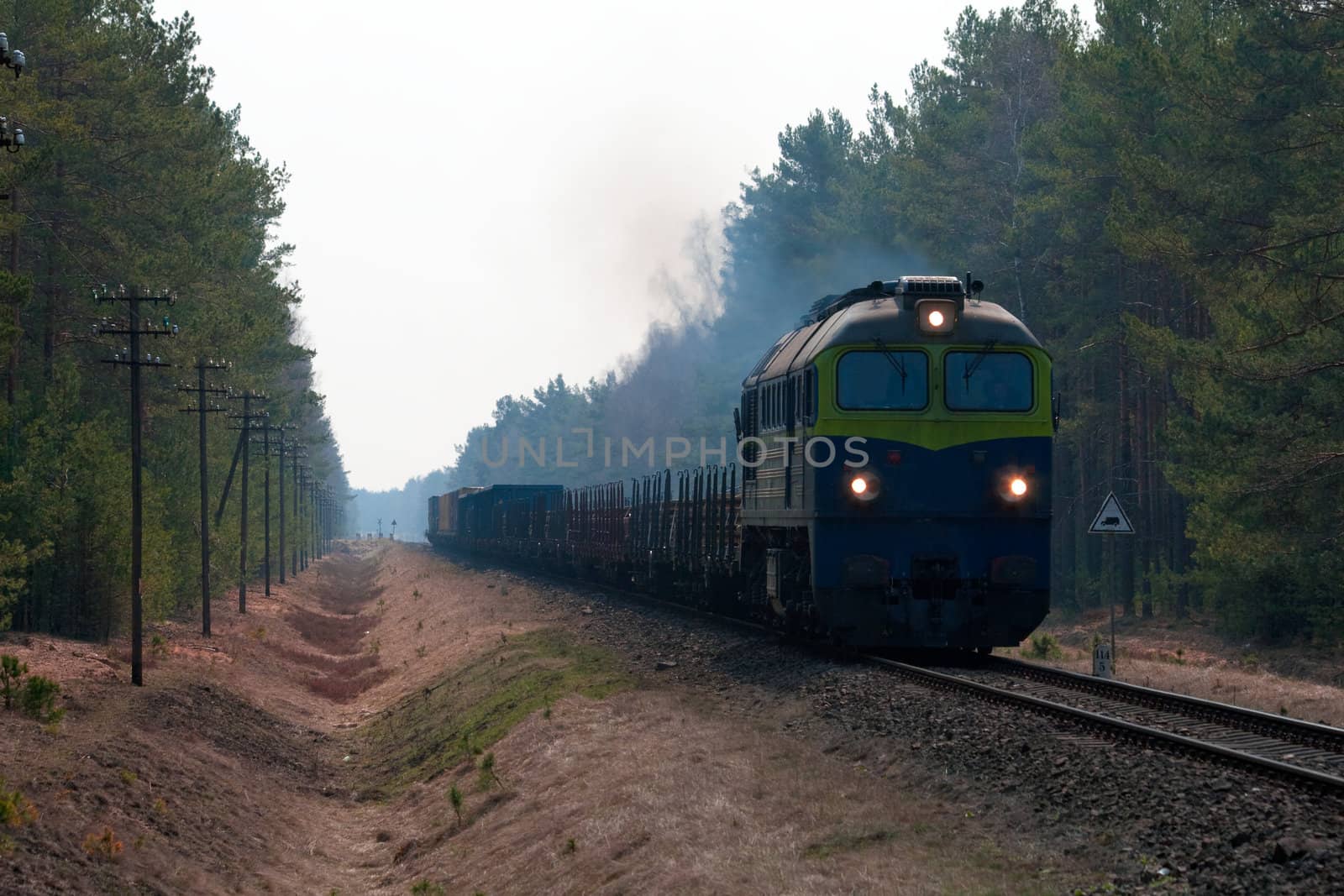 Freight train hauled by the diesel locomotive passing the forest
