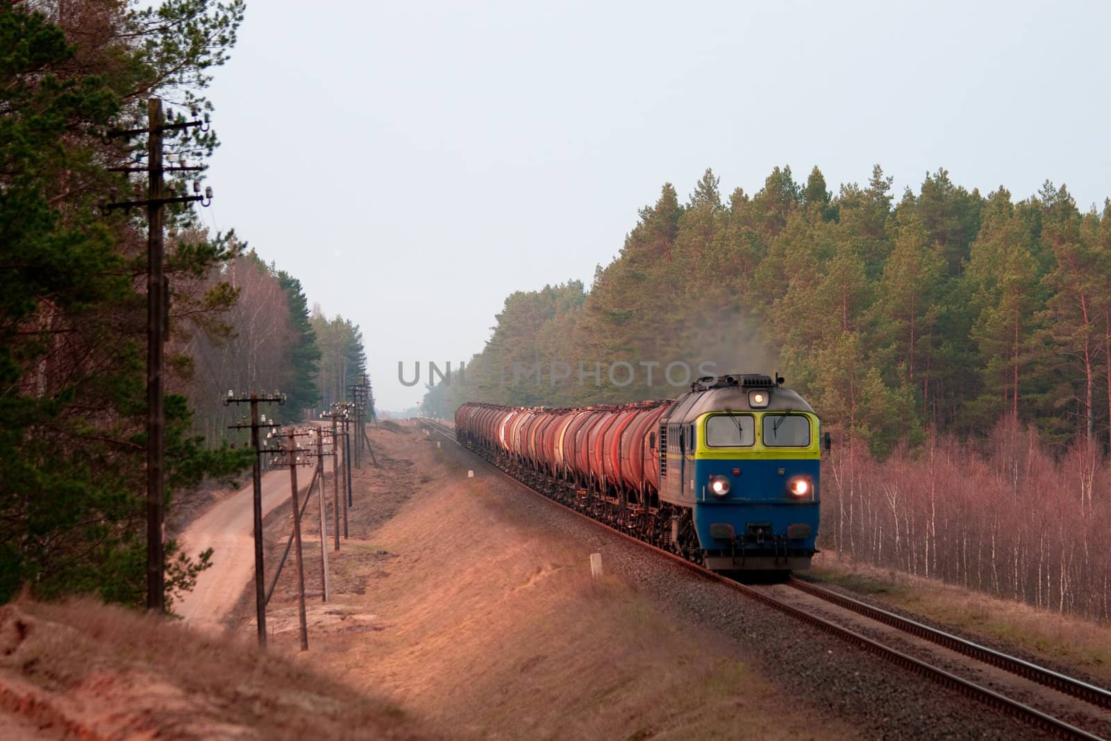 Freight train hauled by two diesel locomotives passing the forest
