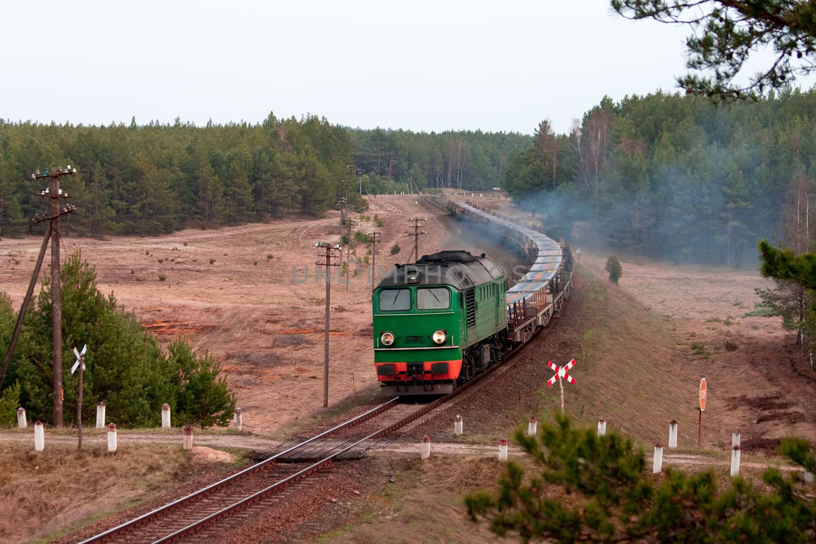 Freight train hauled by two diesel locomotives passing the forest
