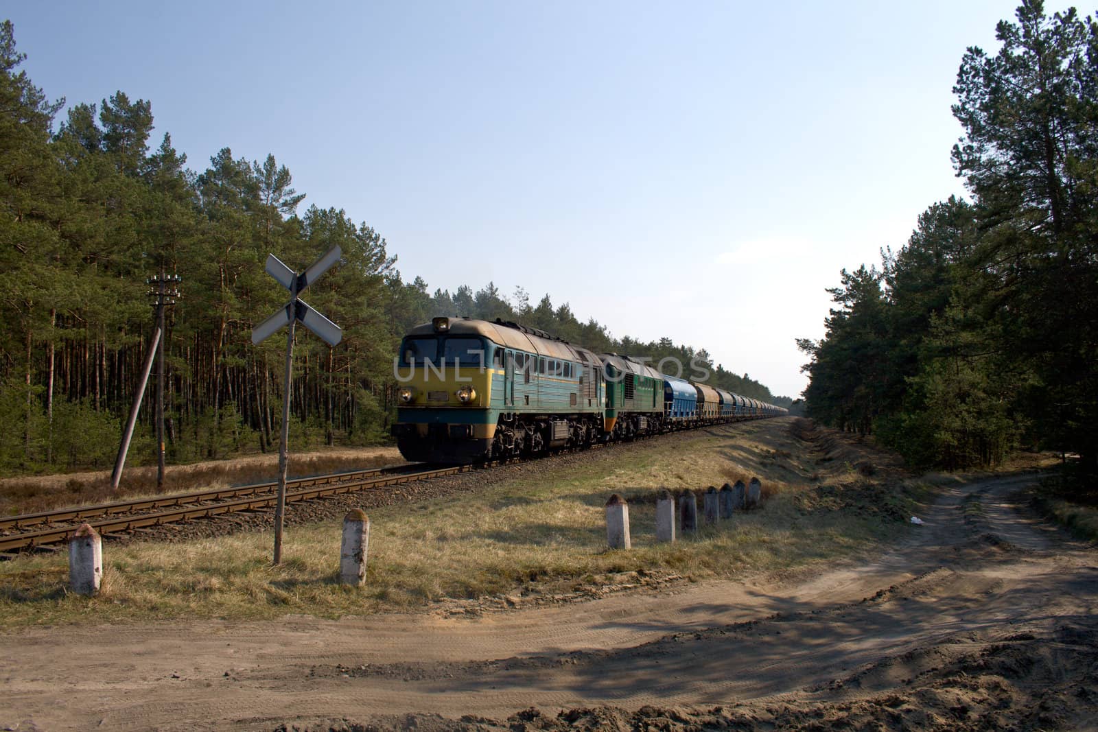 Freight train hauled by two diesel locomotives passing the forest
