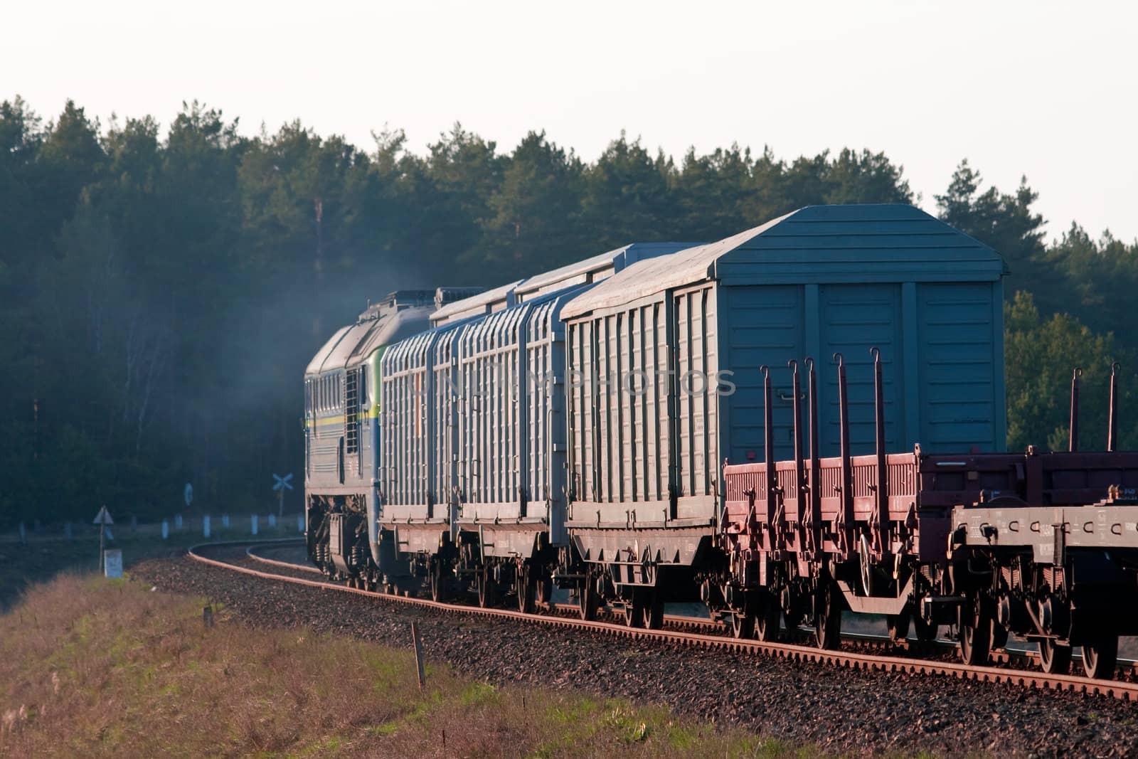 Freight train hauled by the diesel locomotive passing the forest
