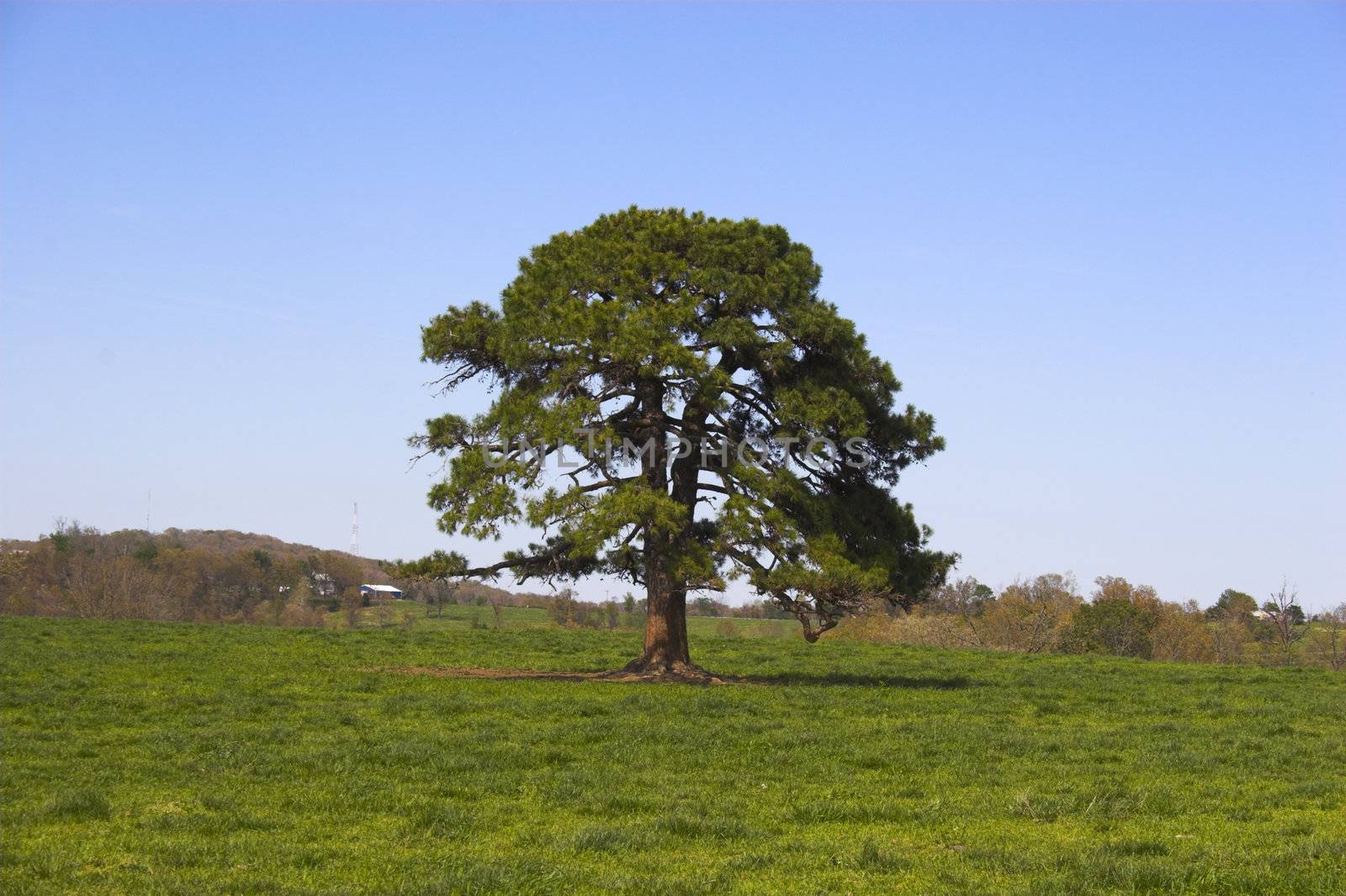 Ozark countryside