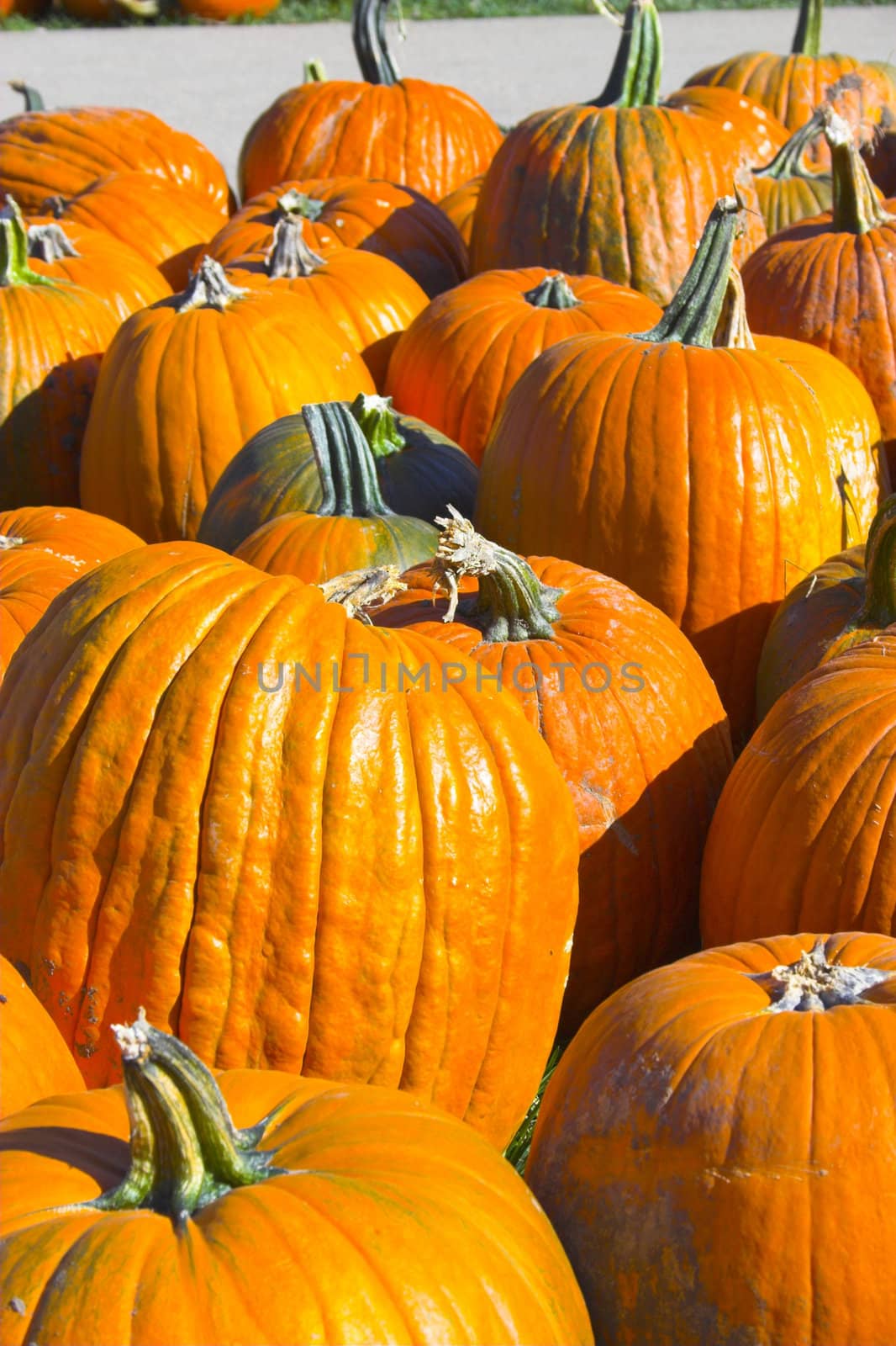 Helloween pumpkin by georgeburba