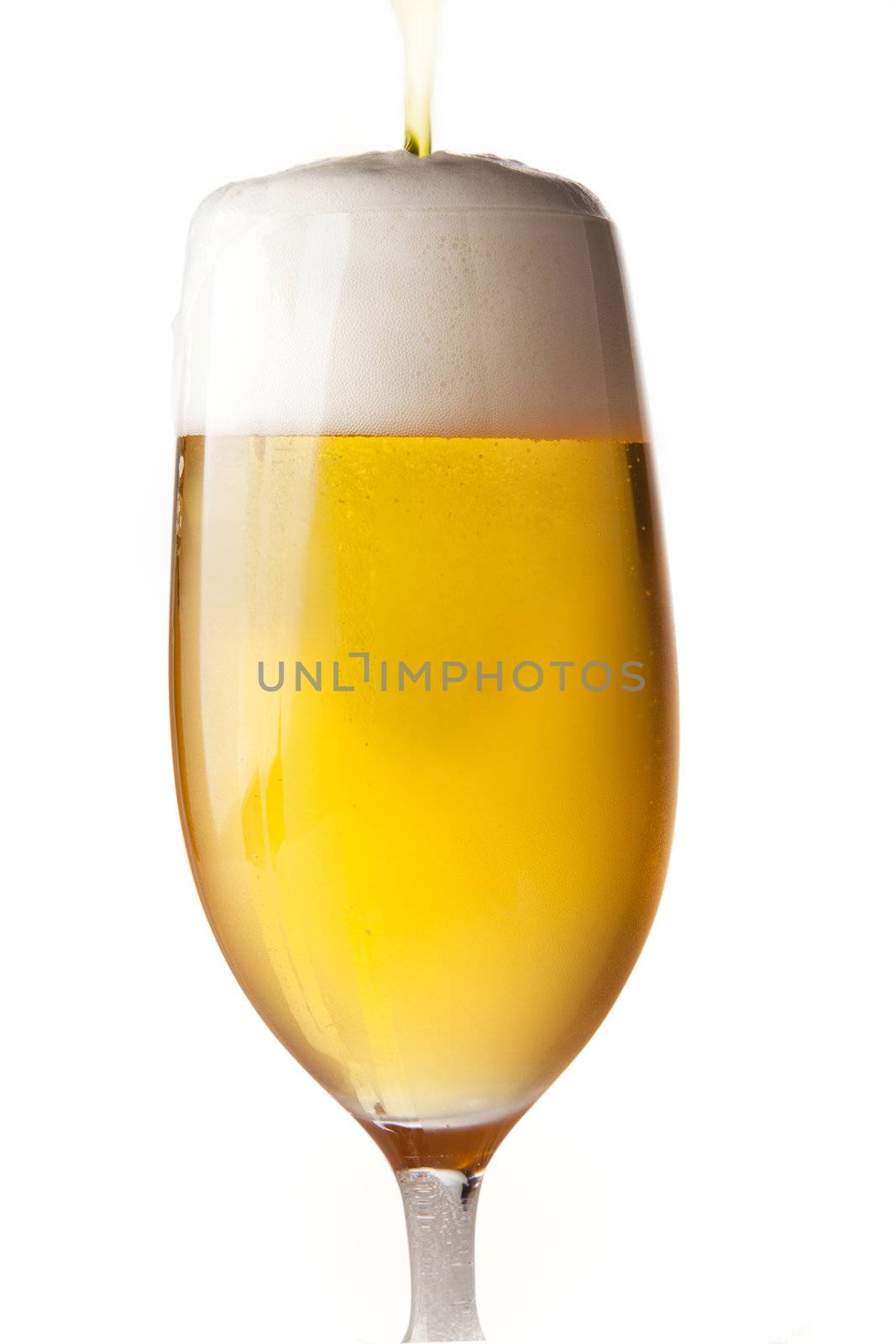 Beer being poured and just about to run over, isolated on white background.