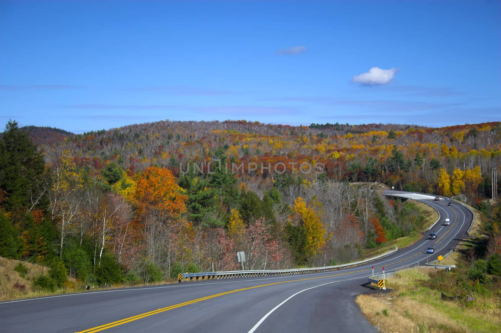 Fall foliage colors by georgeburba