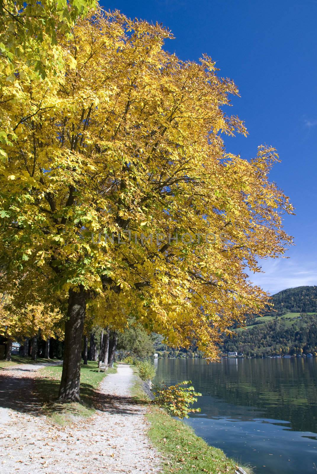 Beautiful autumn day in "Zell am See" Austria