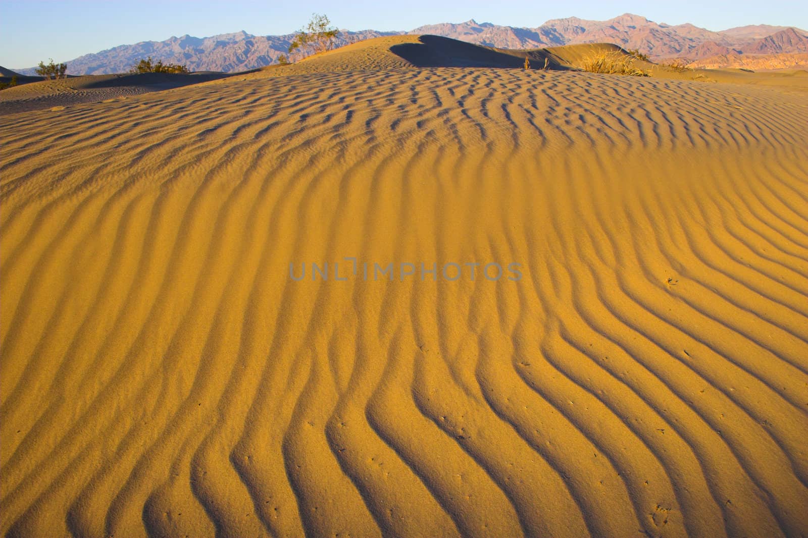 Desert sandscape with dark yellow and orange sand dune deposits