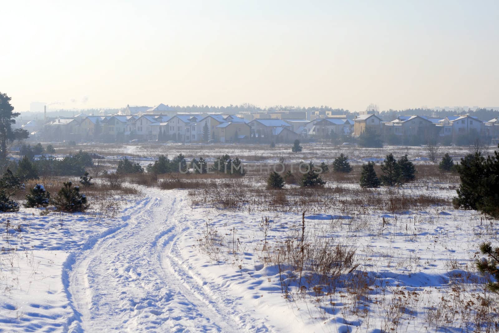 Snowy road between the meadows during wintertime