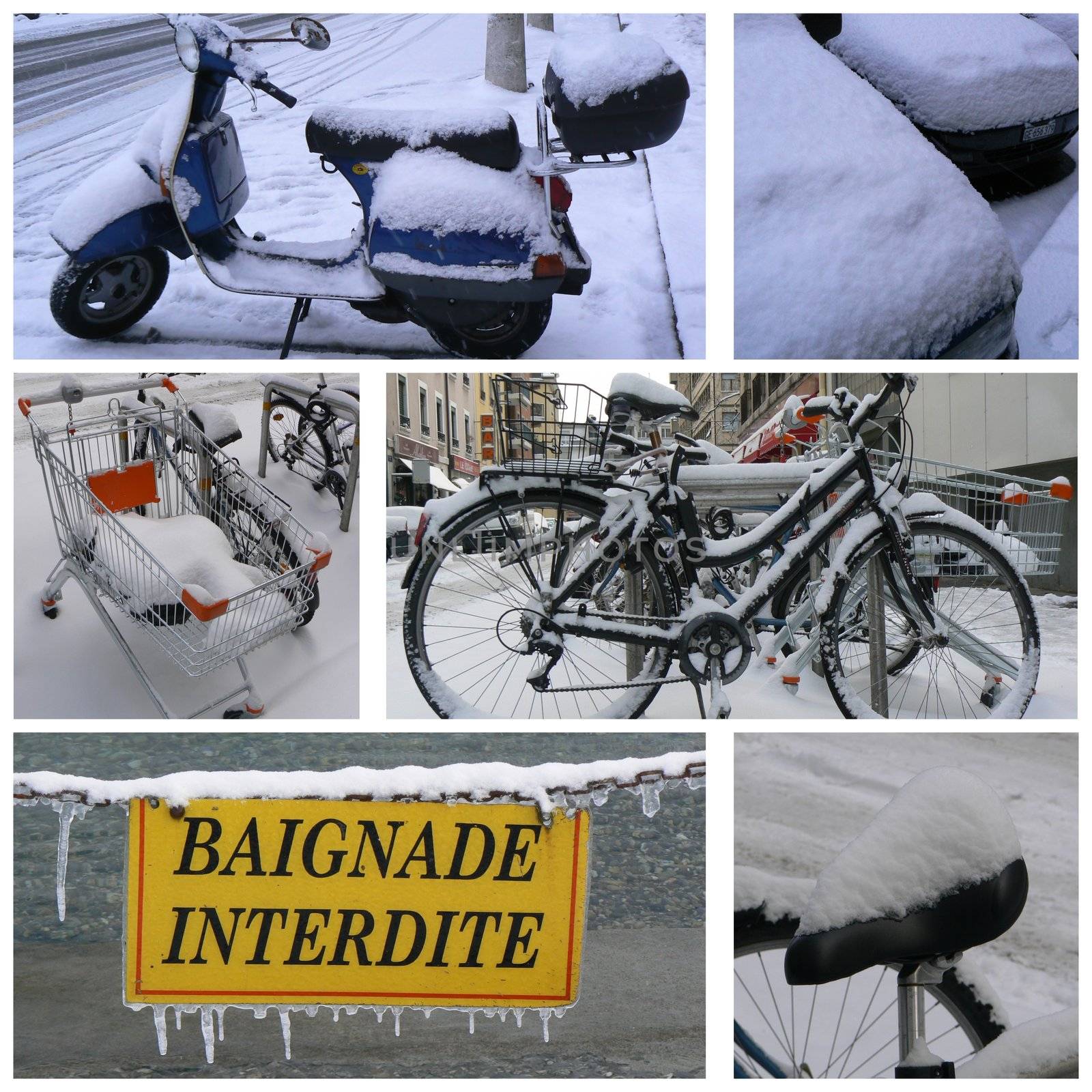 Geneva winter collage