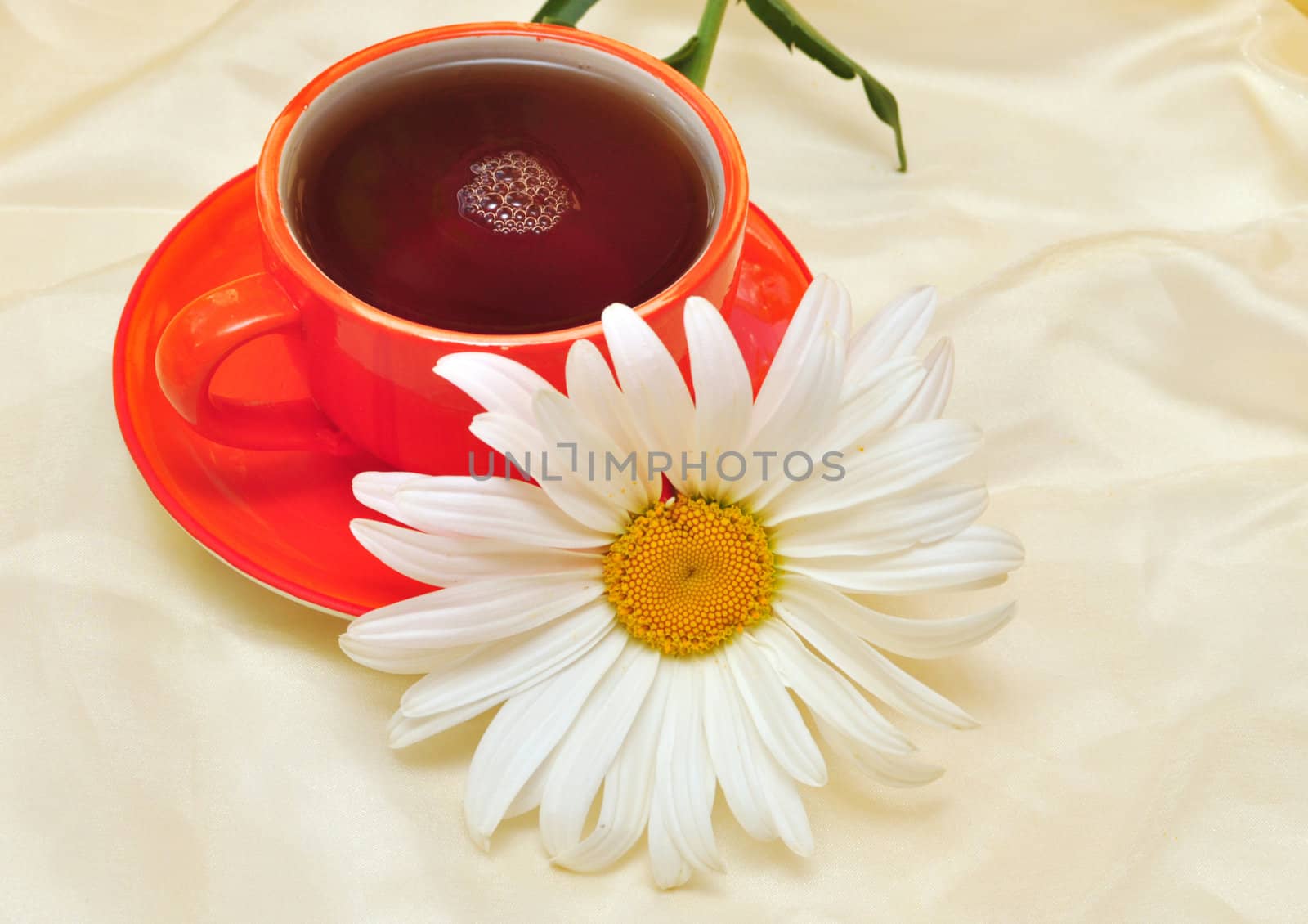 orange cup tea  and camomiles at the background 