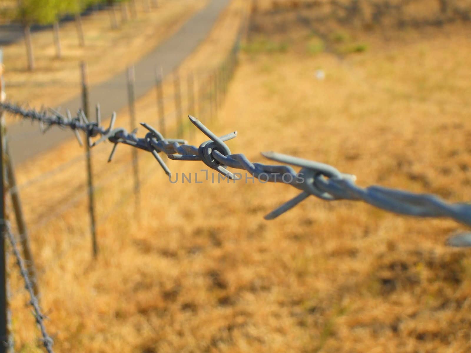 Close up of a barbed wire.