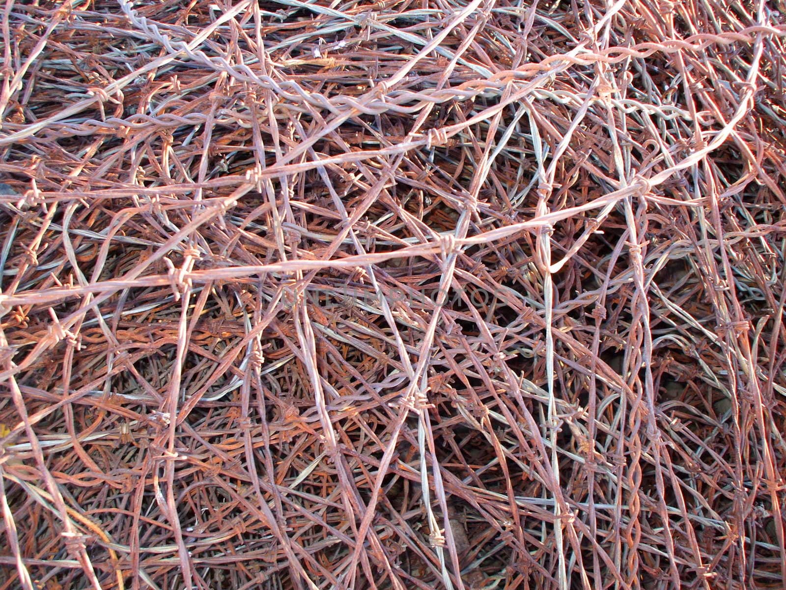 Close up of a barbed wire showing unique pattern.
