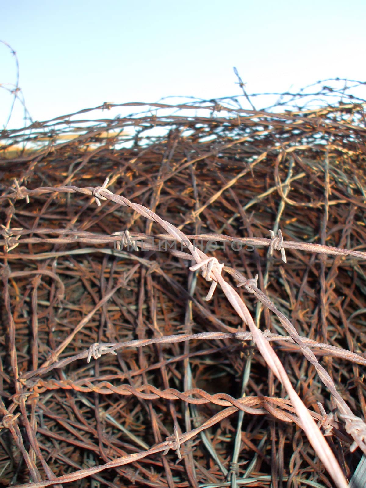 Close up of a barbed wire showing unique pattern.