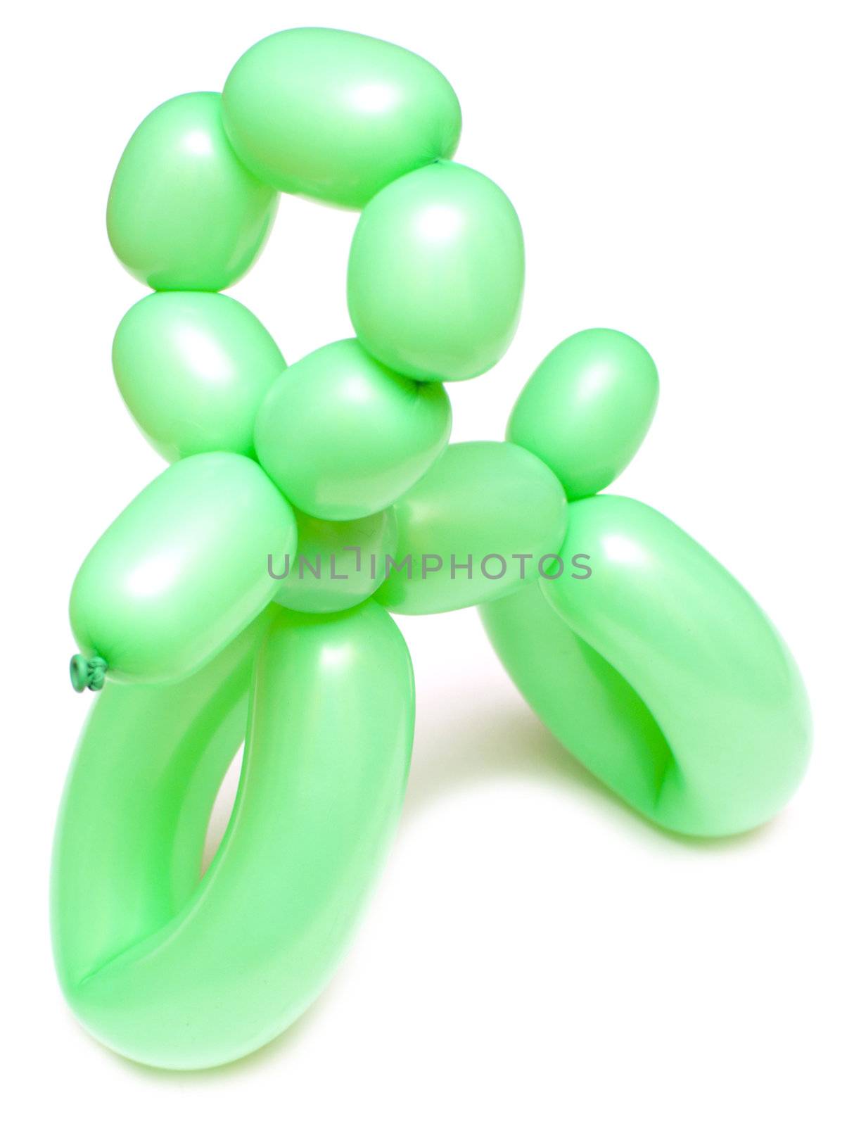 high resolution green twisted balloon poodle isolated on white 