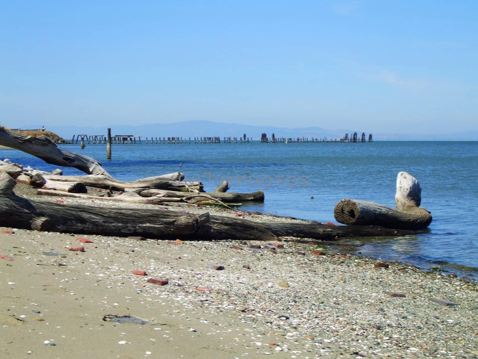 Close up of a driftwood on a shore.