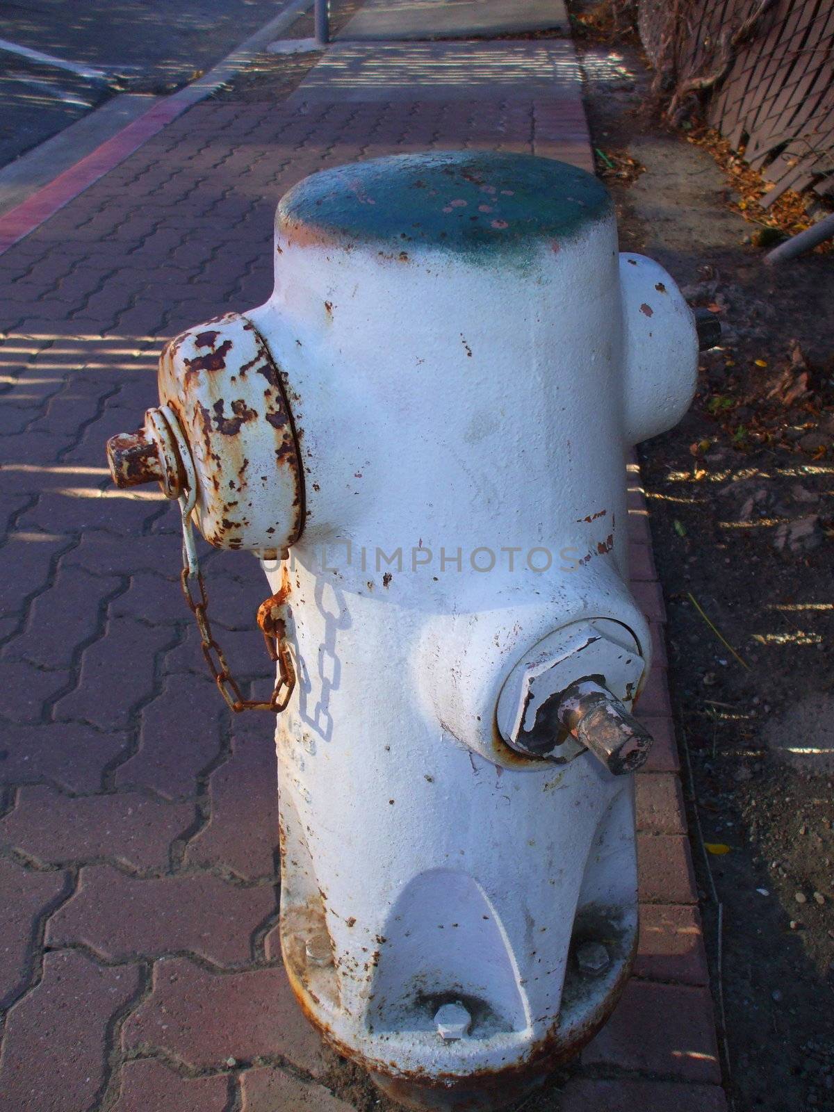 Close up of a fire hydrant on a street.