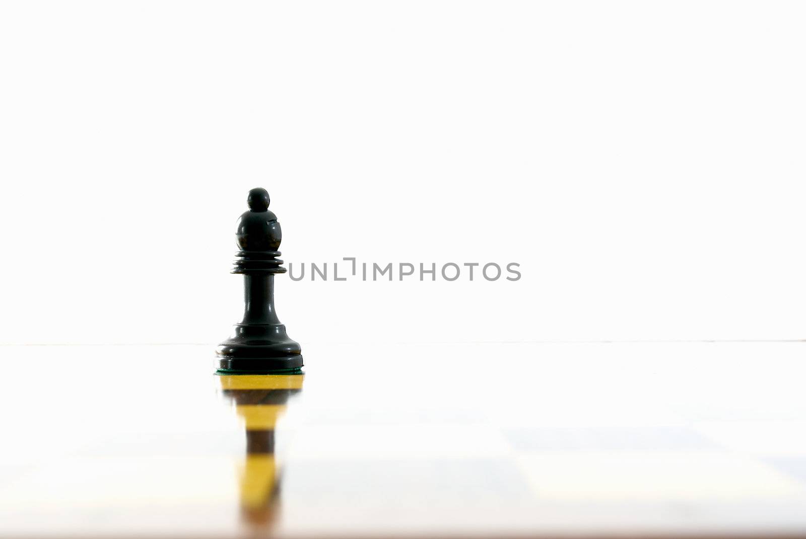 Chess bishop and its reflection on the board