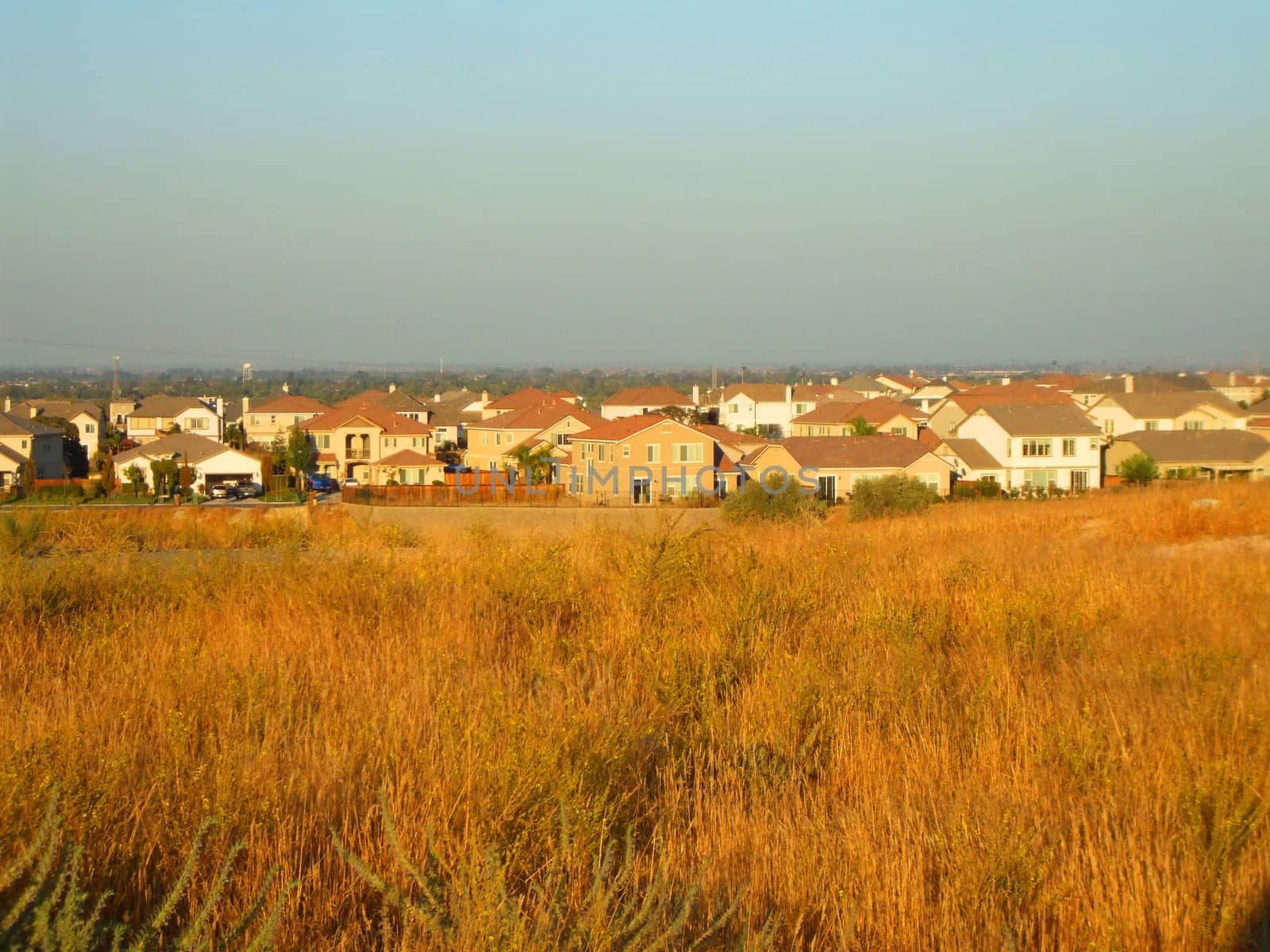 Group of houses in a horizon on a sunny day.