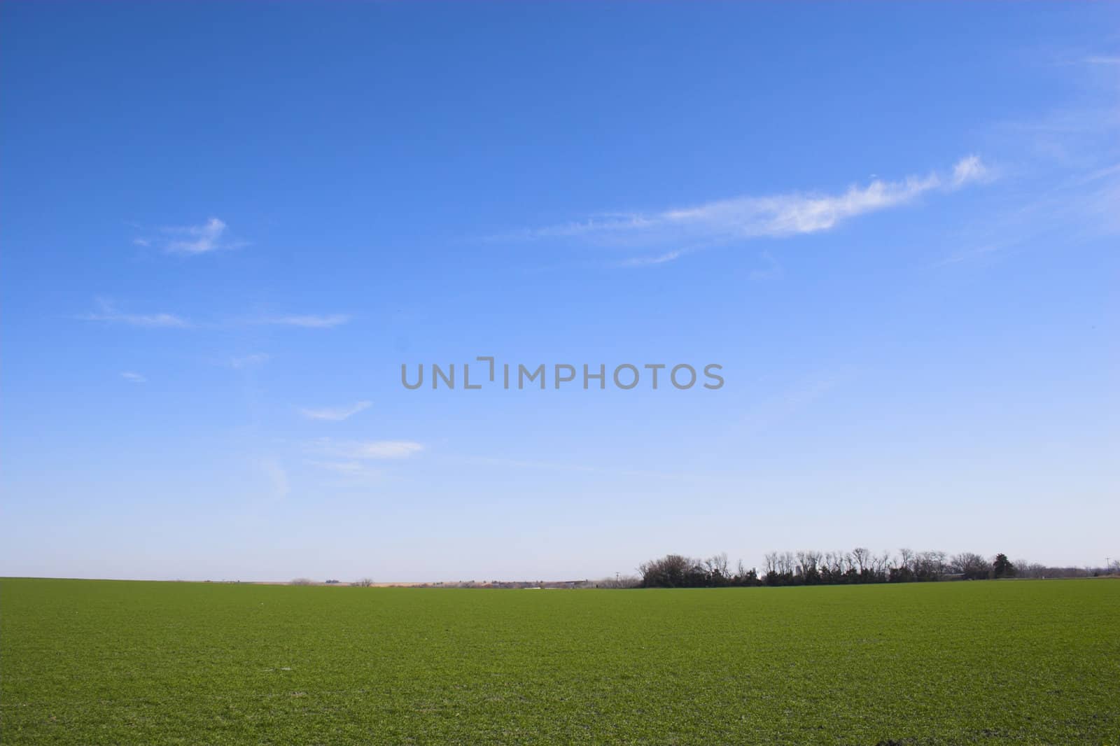 Countryside surrounded by colorful fields and meadows