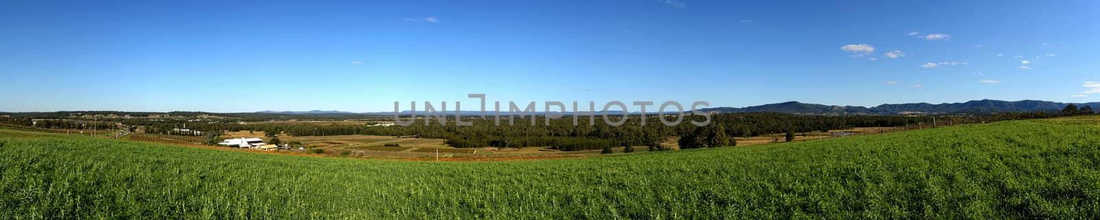 5:1 Panorama of the Hunter Valley NSW Australia taken from Pokolbin Hill