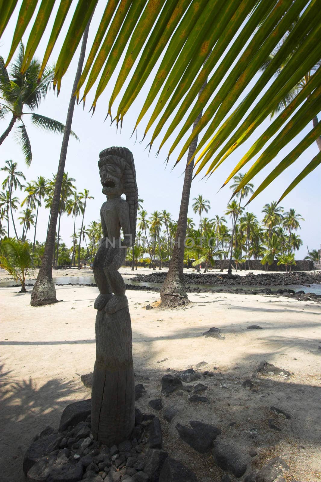 Wooden statues of idols in Big Island