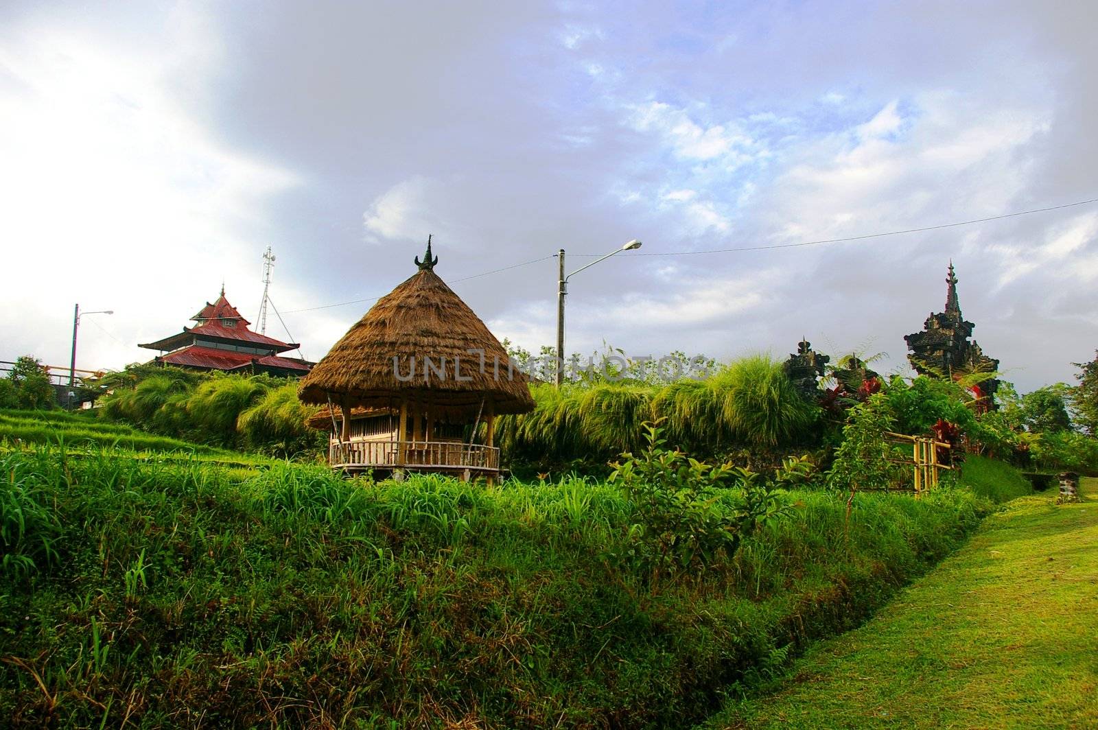 A village in Bali which is part of an Ecotourism network because of it's coffee plantations. Kiadan Pelaga, Bali, Indonesia.