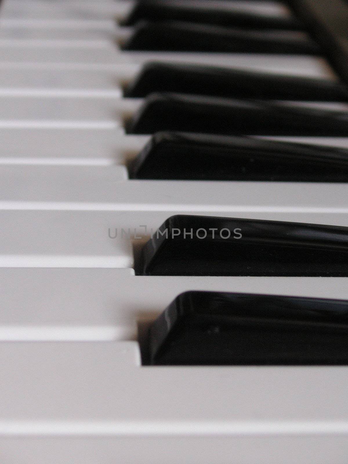 black and white keys of a keyboard by leafy
