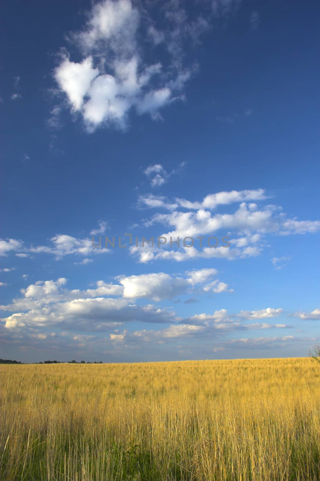 Farm land by georgeburba