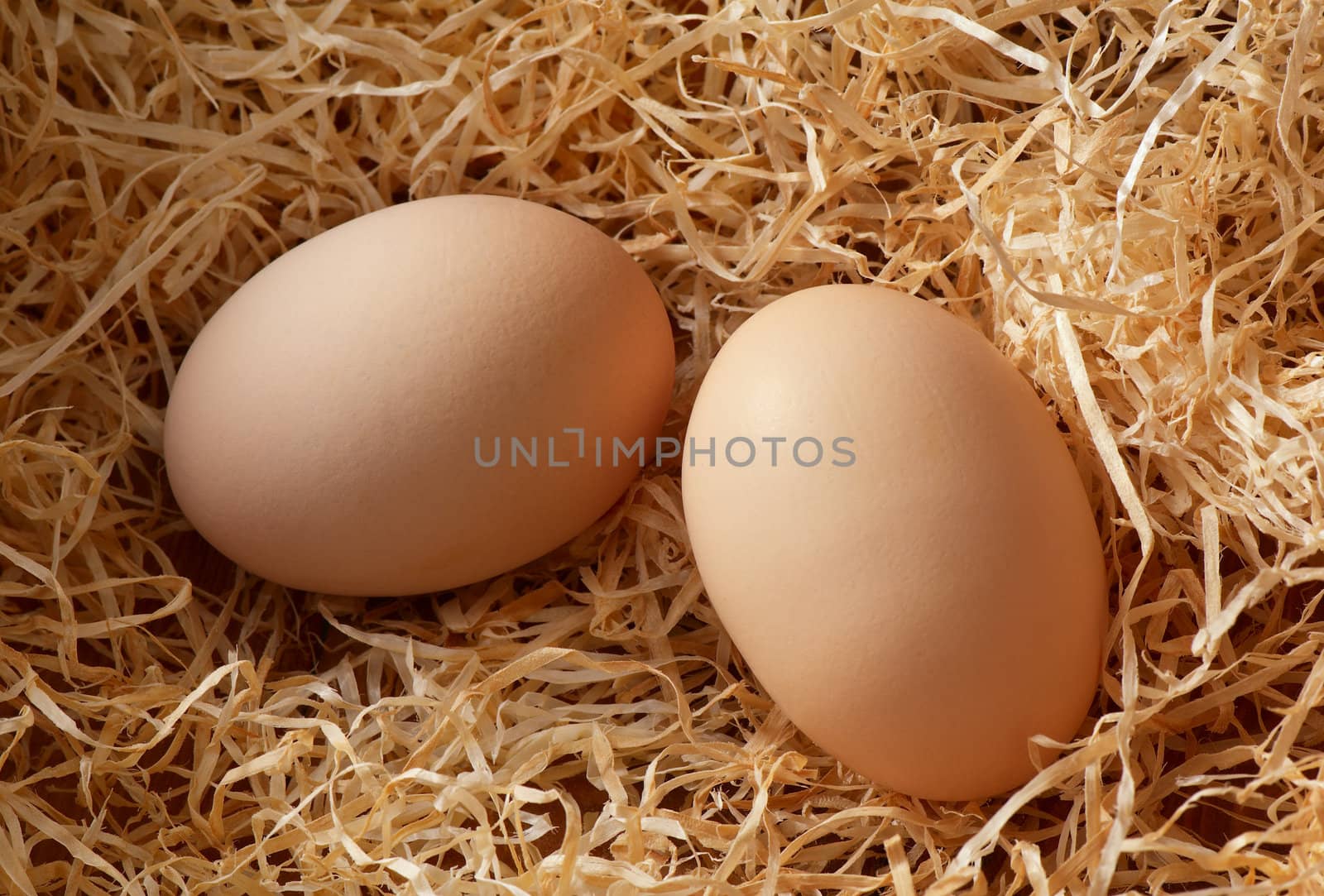 Egg by Kamensky