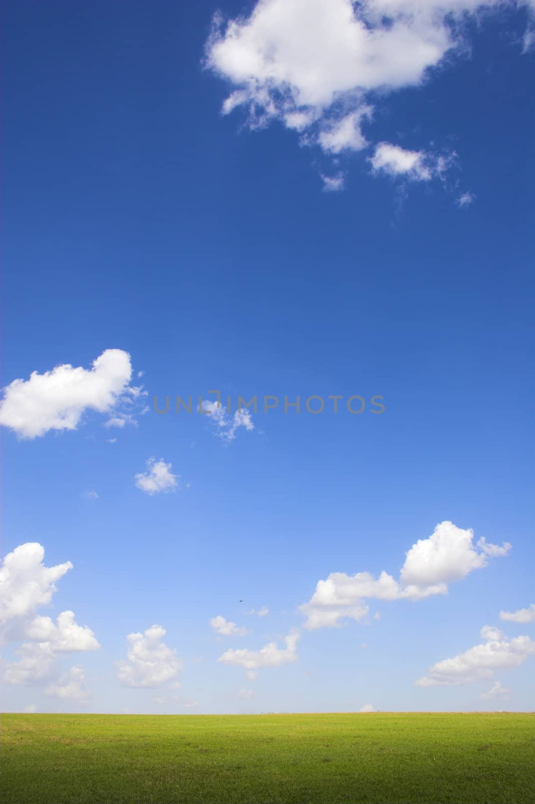 Farm landscapes with sunny maize soy and wheat fields