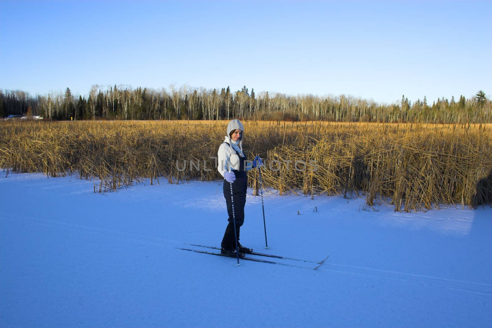 Cross-country winter skiing on the lake�s ice in Voyager National Park