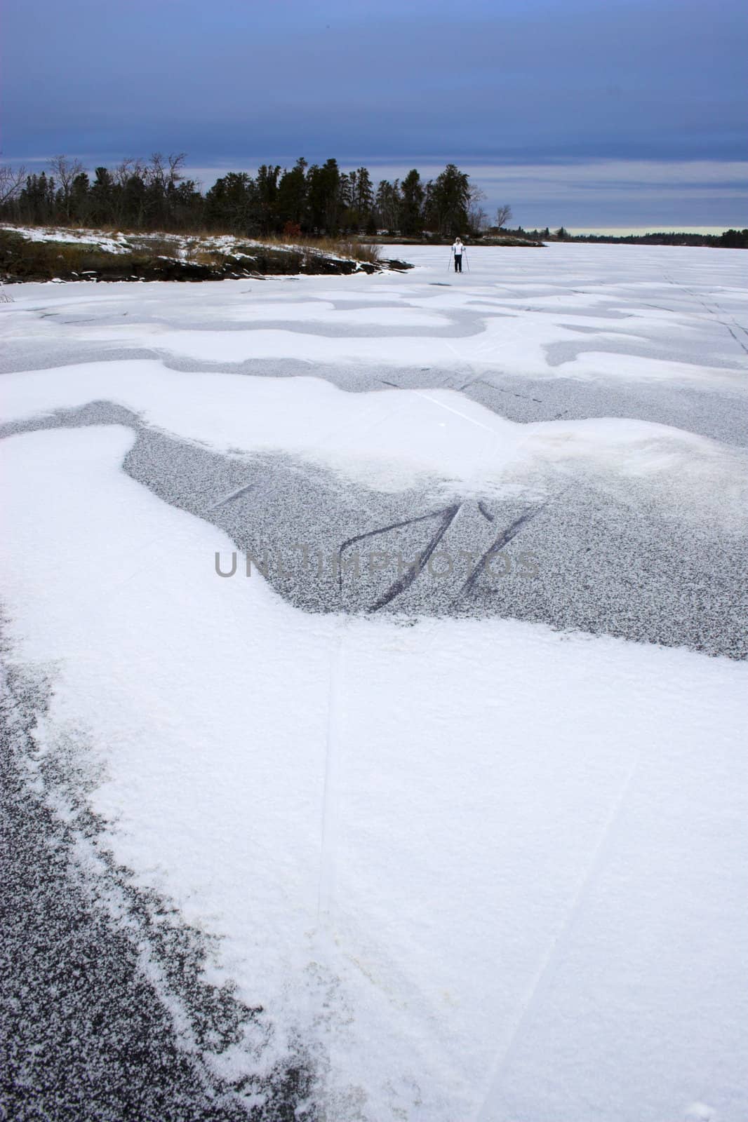 Cross-country winter skiing on the lake�s ice in Voyager National Park