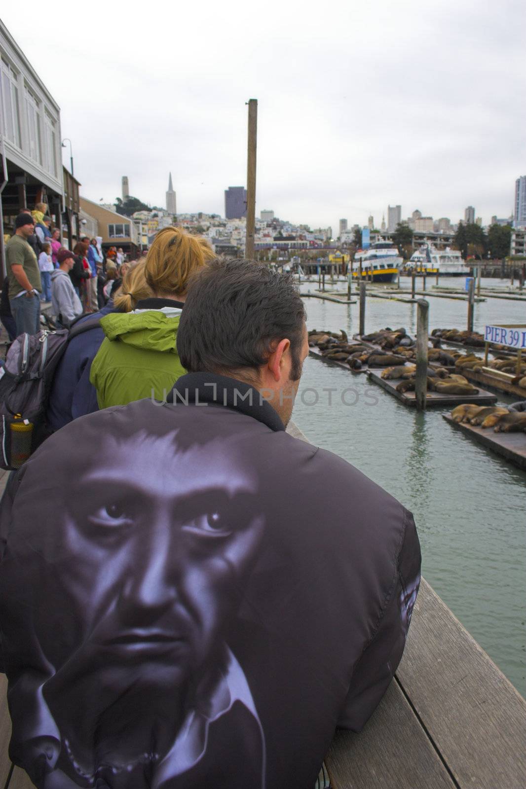 Man wantching sea lions at Fisherman Wharf, San Francisco, California