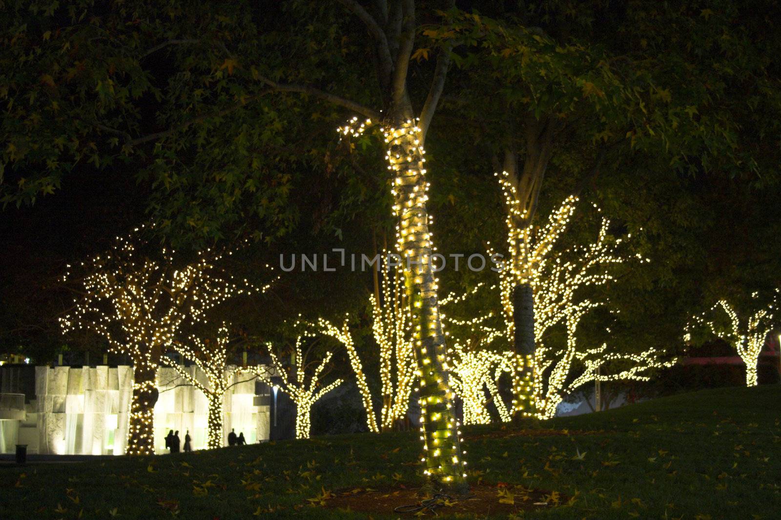 Christmas night in San Francisco, California