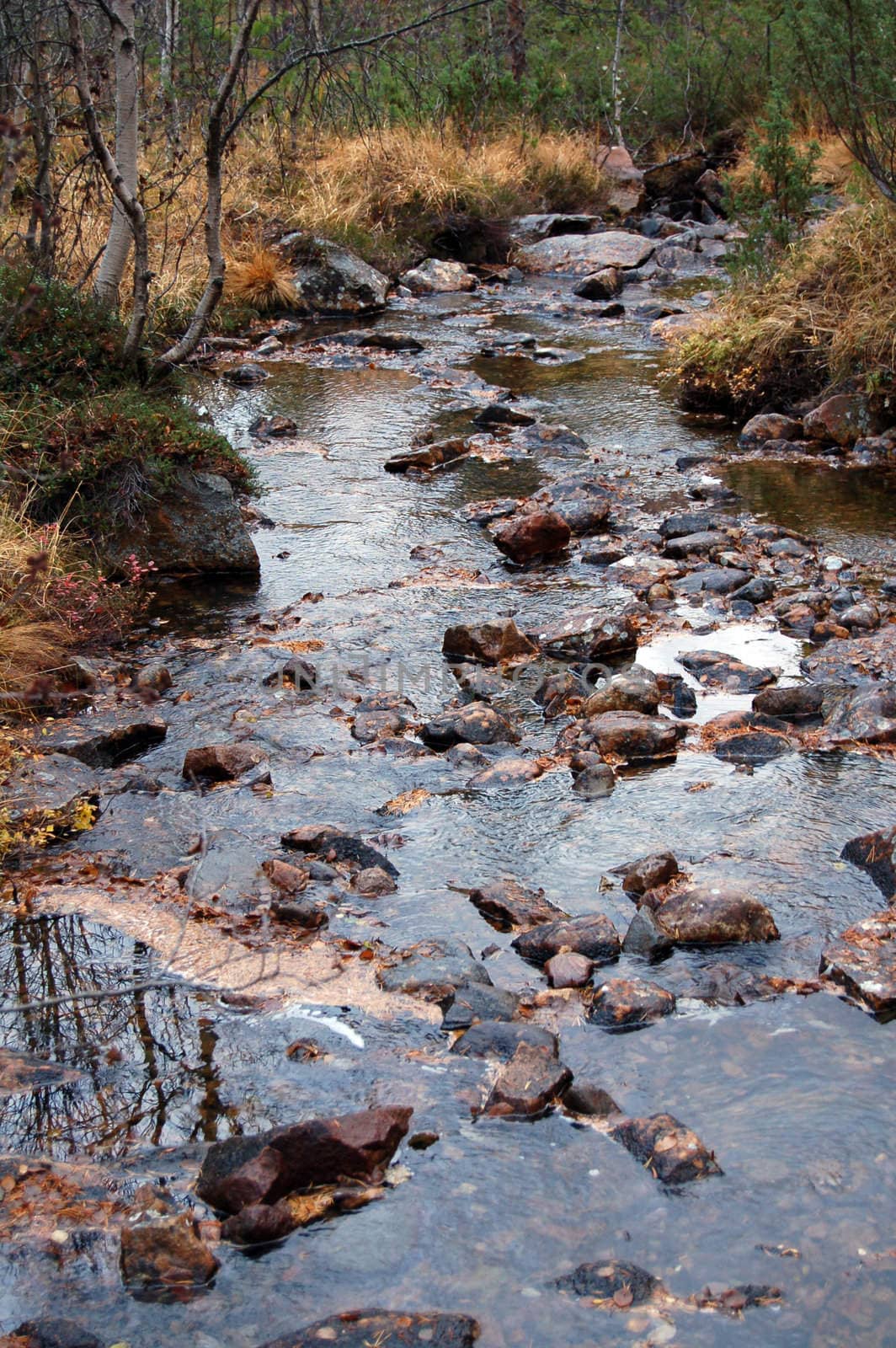 river in autumn by mojly