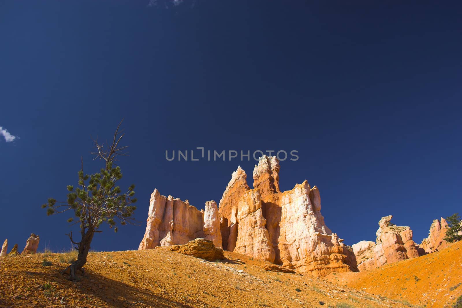 Rare rock formations of Bryce Canyon National park