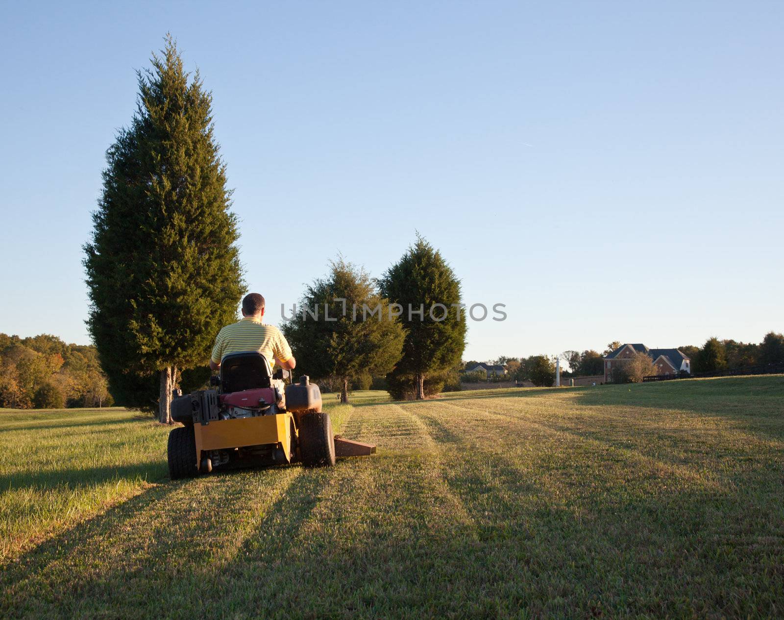 Middle aged man on zero turn mower cutting grass on a sunny day with the sun low in the sky