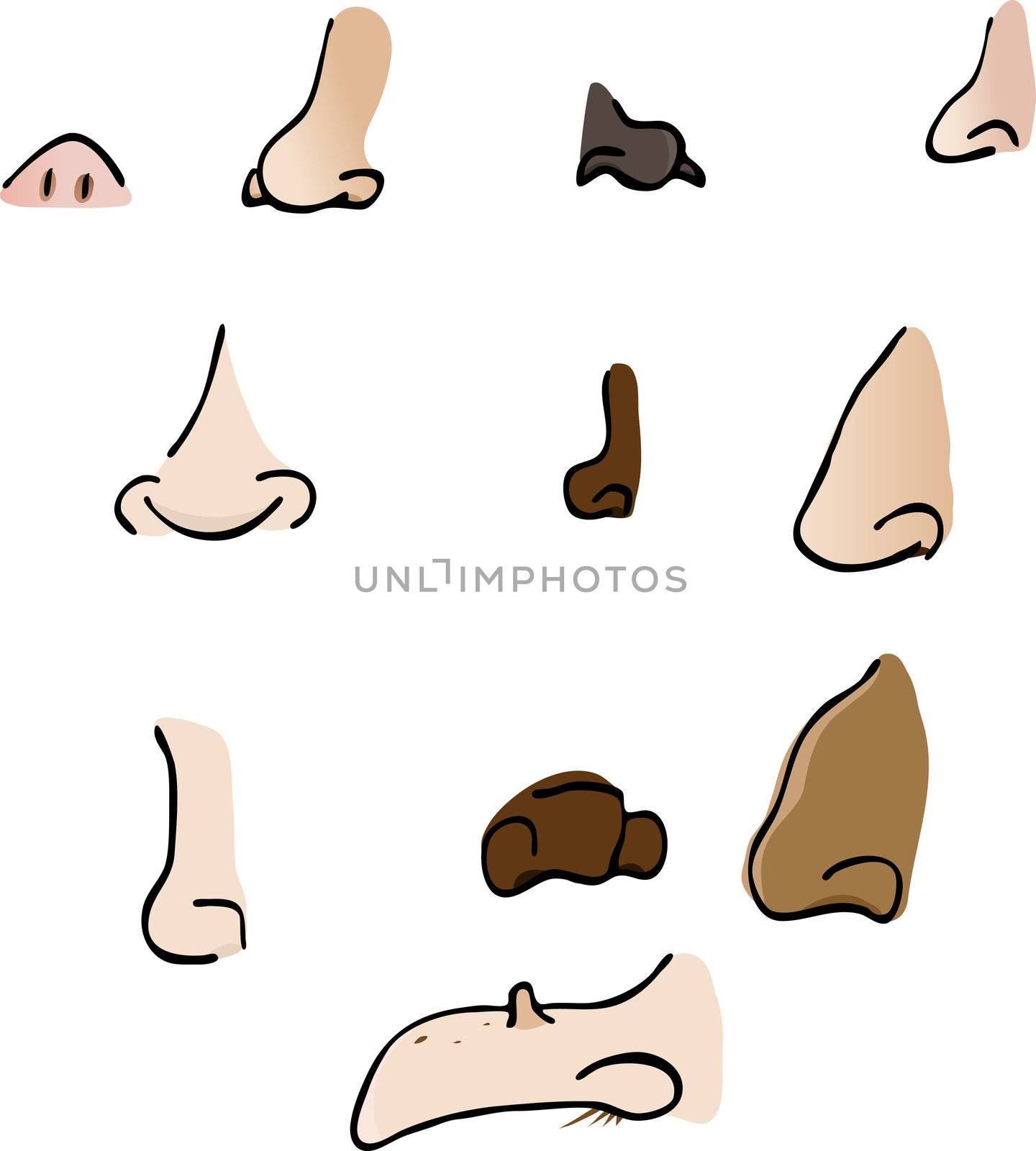 Noses II by TheBlackRhino